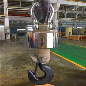 福安市10噸無線打印電子吊磅