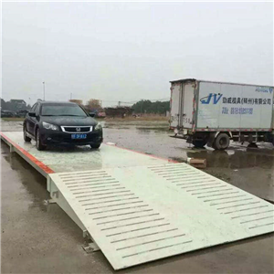 雨花區100噸大型電子地磅供應商