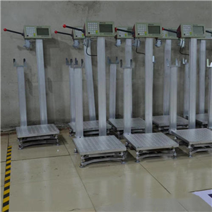 常州120千克液化氣灌裝電子稱(chēng)