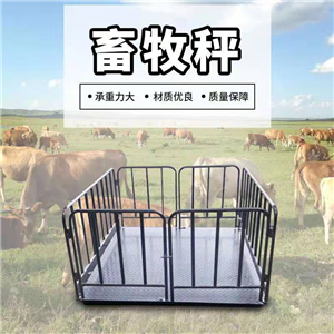 養殖場(chǎng)畜牧圍欄地磅秤