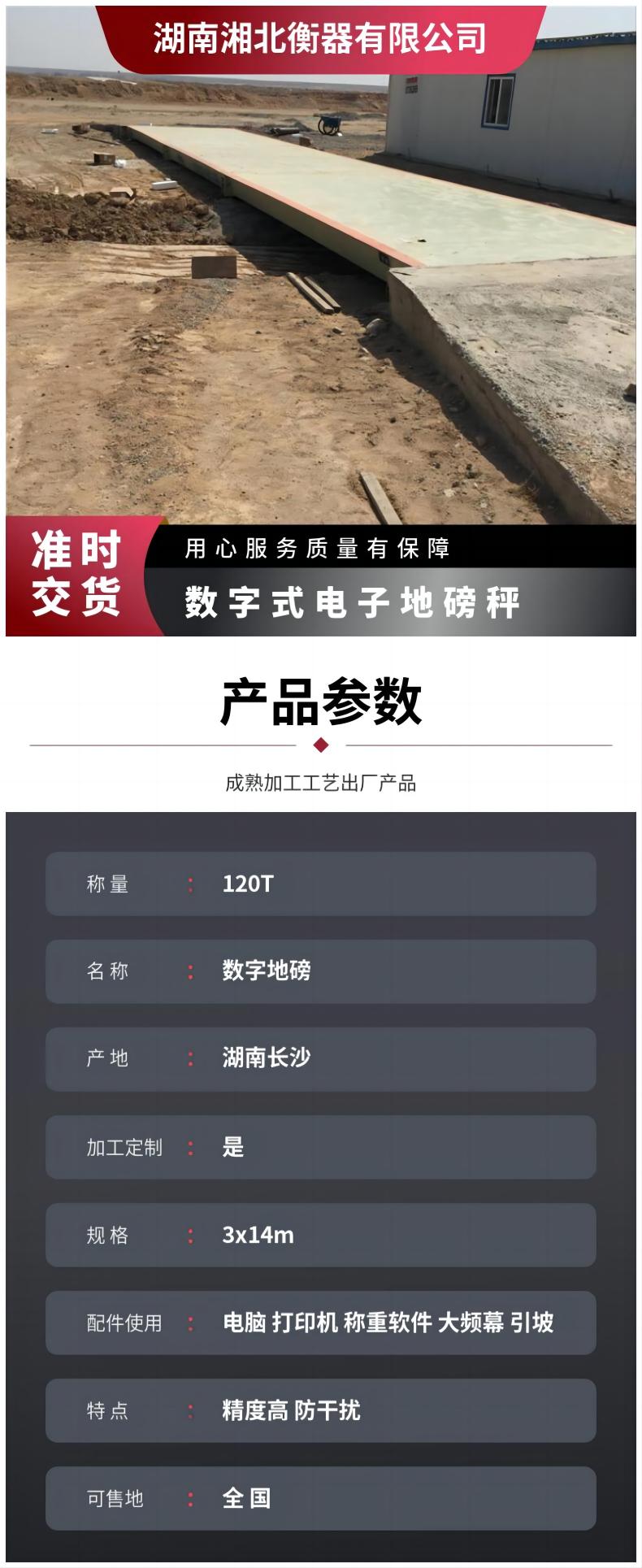 衡陽100T電子汽車衡